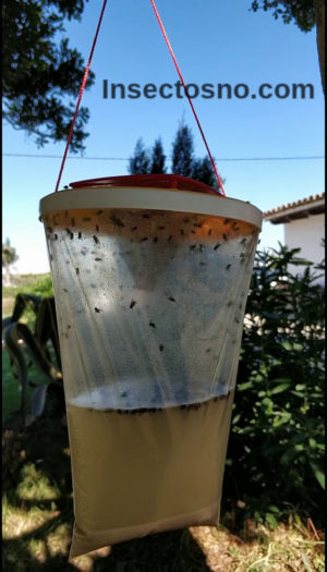 Trampa para moscas RT